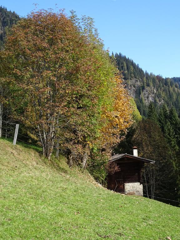 Anna'S Appartement Alpbach Εξωτερικό φωτογραφία