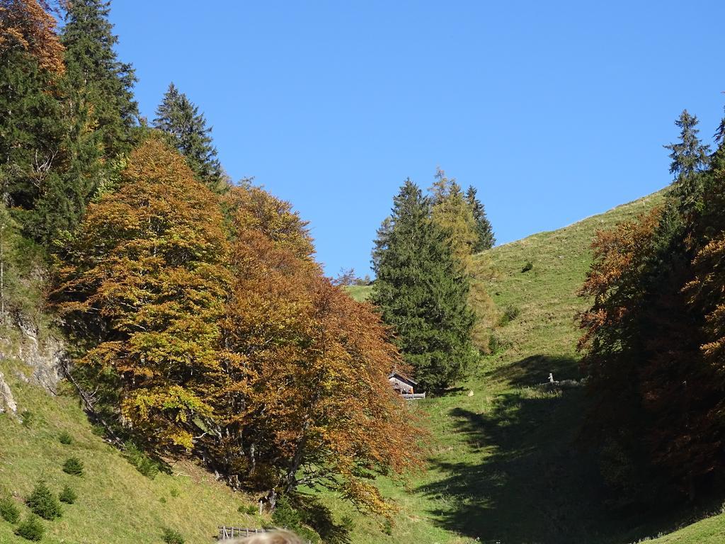 Anna'S Appartement Alpbach Εξωτερικό φωτογραφία