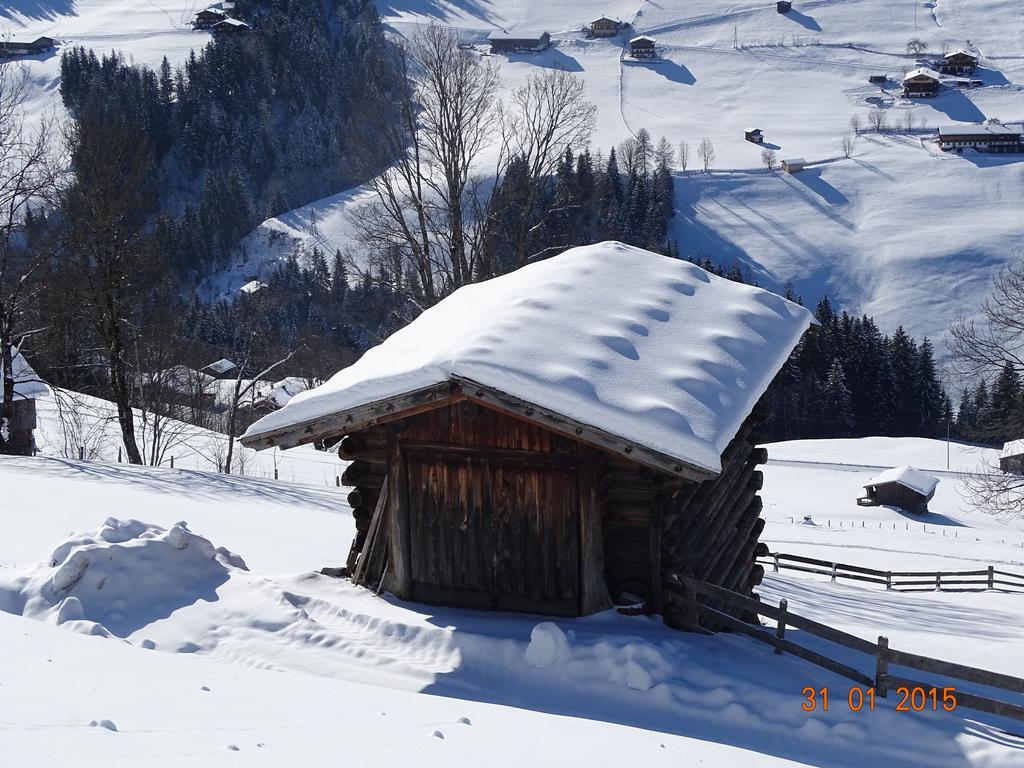 Anna'S Appartement Alpbach Εξωτερικό φωτογραφία