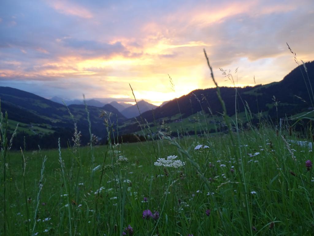 Anna'S Appartement Alpbach Εξωτερικό φωτογραφία