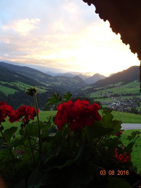 Anna'S Appartement Alpbach Εξωτερικό φωτογραφία