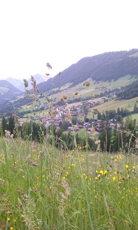 Anna'S Appartement Alpbach Εξωτερικό φωτογραφία