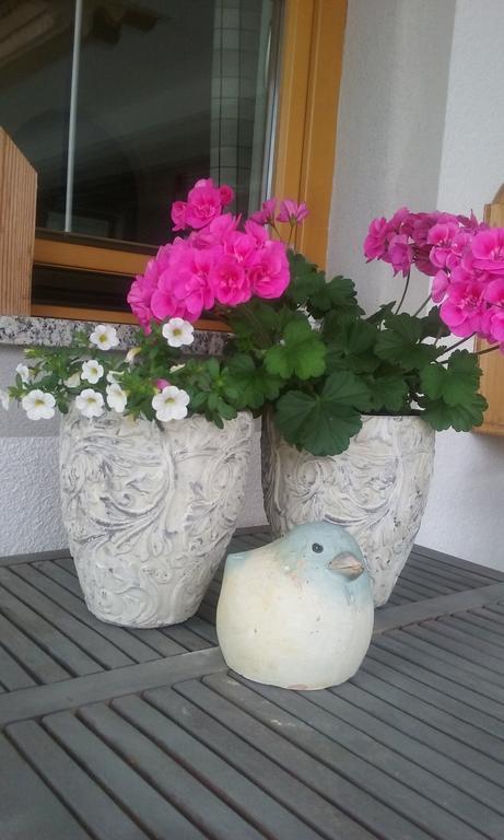 Anna'S Appartement Alpbach Εξωτερικό φωτογραφία