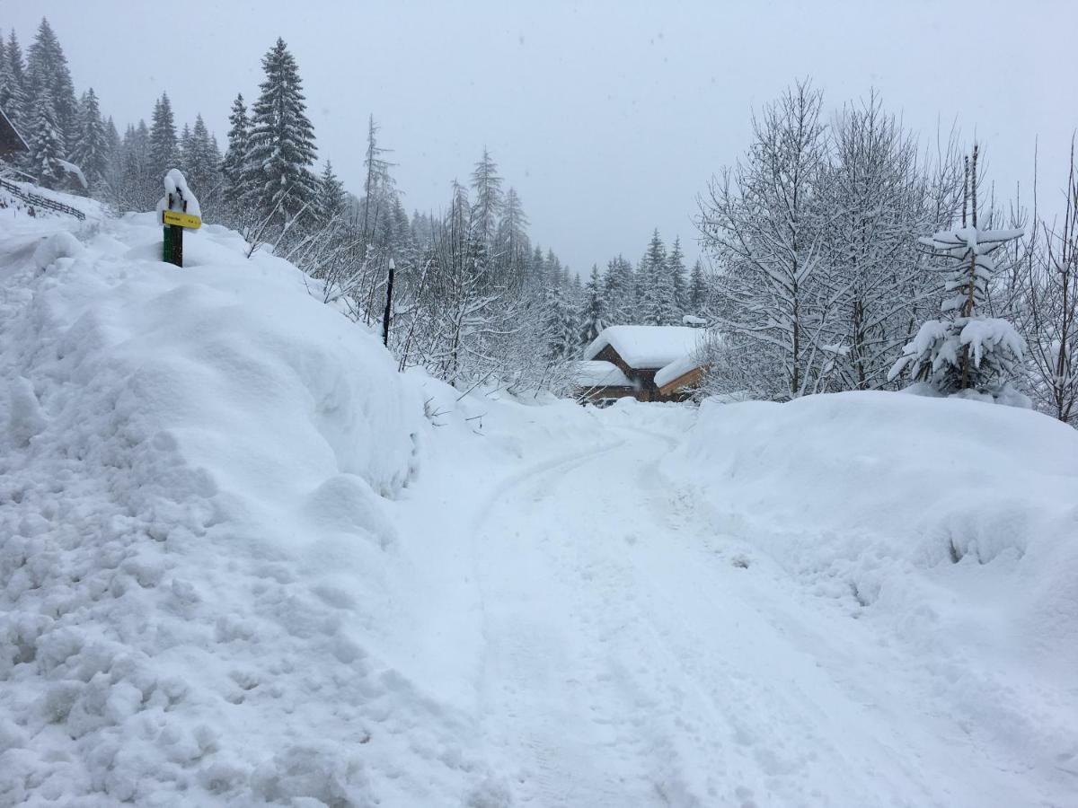 Anna'S Appartement Alpbach Εξωτερικό φωτογραφία